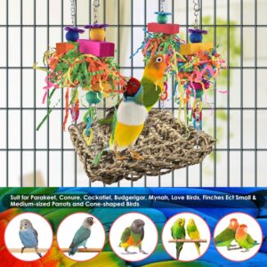 Bird Climbing Hammock Grass Mat with Colorful Toys - Image 5