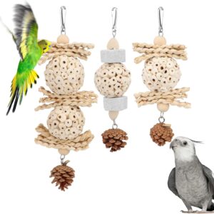 Bird Foraging Toy Natural Chew 3 Pack