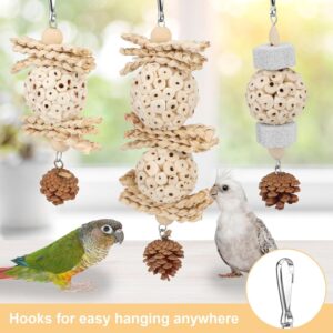 Bird Foraging Toy Natural Chew 3 Pack - Image 6