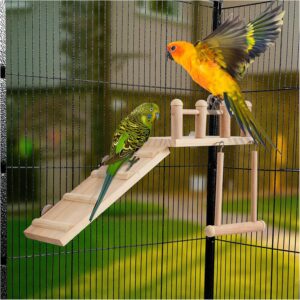 Bird Perch Platform Swing Wooden Small Birds - Image 3