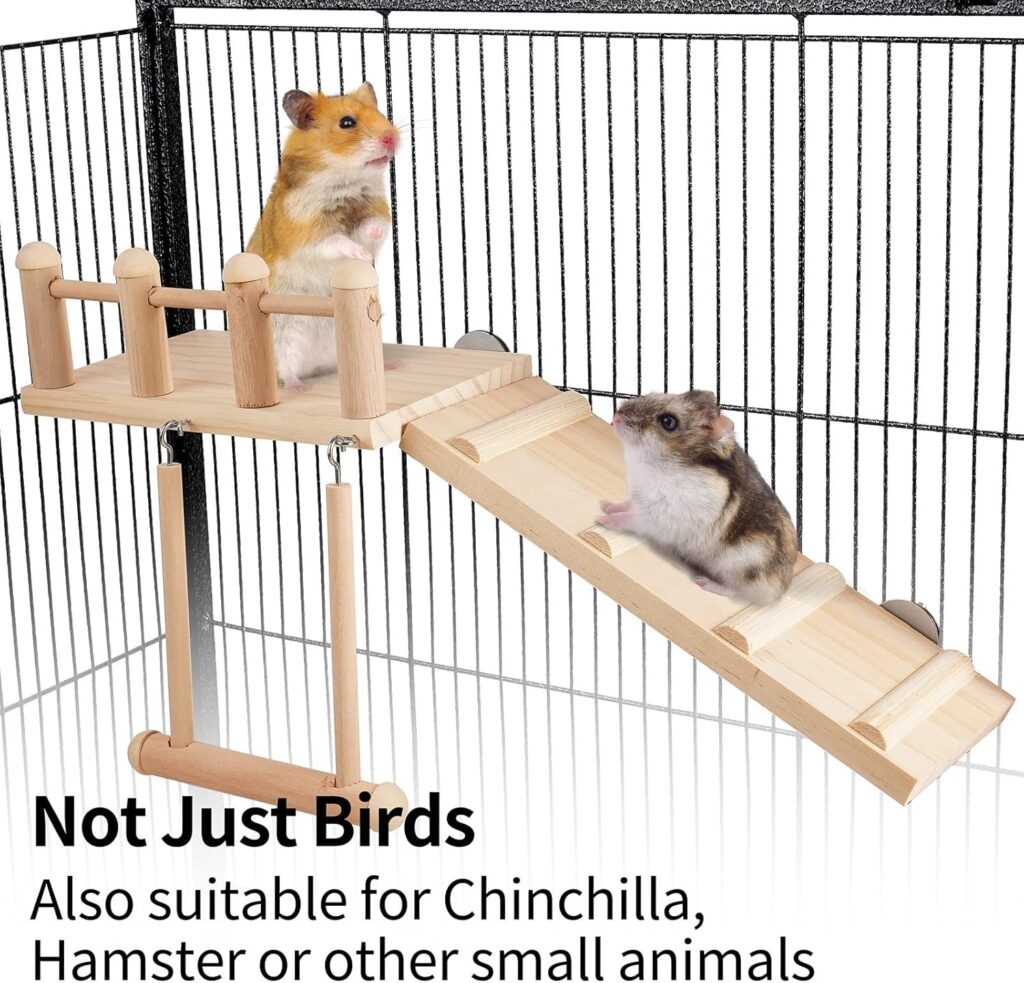 Bird Perch Platform Swing Wooden Small Birds - Image 5