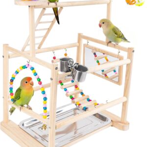 Bird Playground 3 Layer Stand with Feeder Cups