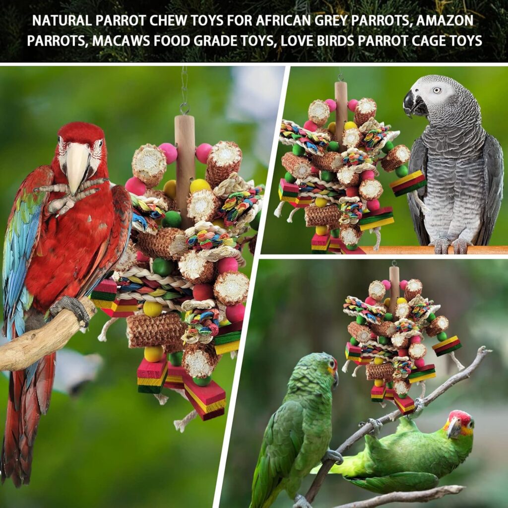 Bird Toy Wooden Blocks Multi-Colored - Image 3